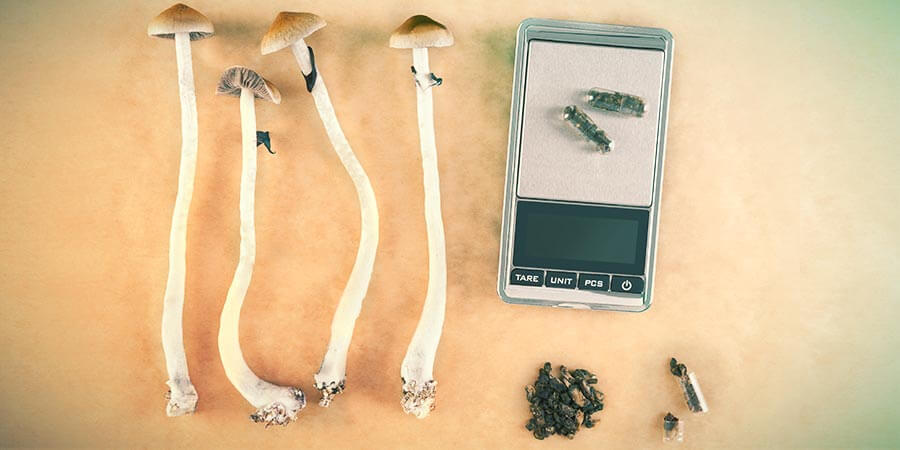 SO STELLST DU KAPSELN FÜR DIE MIKRODOSIERUNG VON MAGIC MUSHROOMS HER