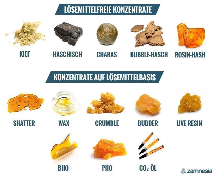 VERSCHIEDENE ARTEN VON KONZENTRATEN: LÖSUNGSMITTEL VS. LÖSEMITTELFREI