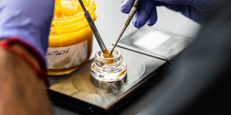 Wie werden Cannabis-Konzentrate hergestellt?