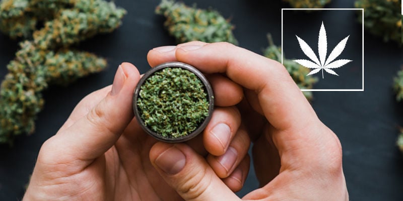 Was Ist Natürliches Cannabis?