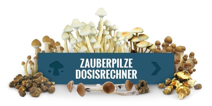 Dosierungsrechner für Magic Mushrooms