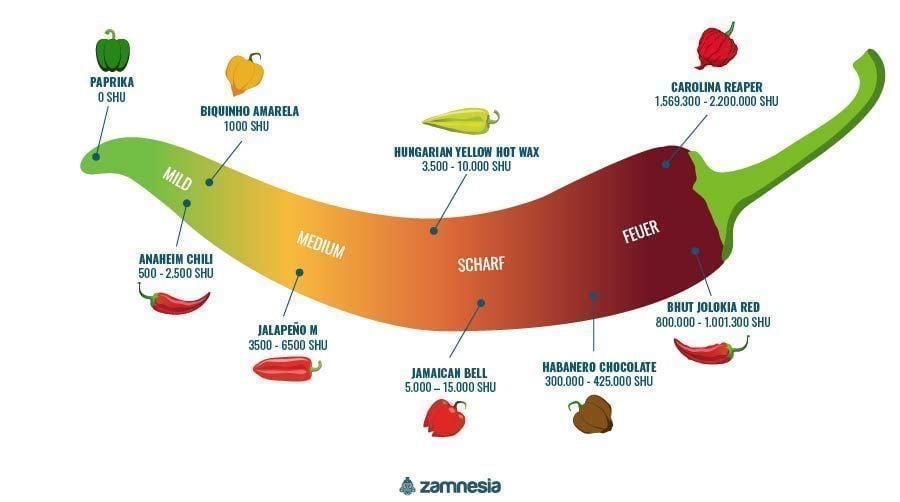 Chilis Infografik