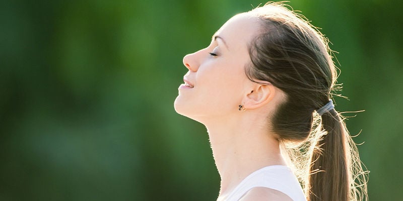 Wofür wird Ginkgo biloba verwendet?