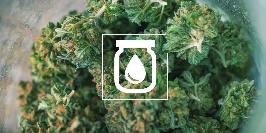 Wasser-Aushärtung von Cannabis: Was es ist und wie man es macht
