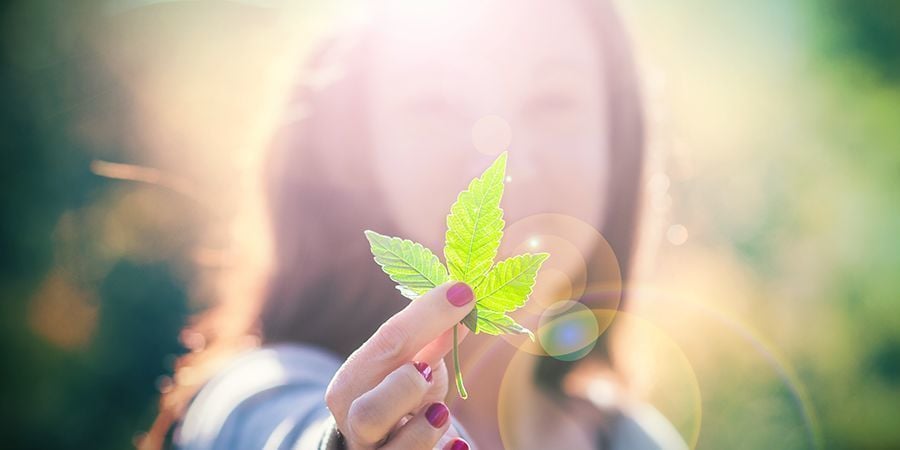 Cannabis-Enthusiasten