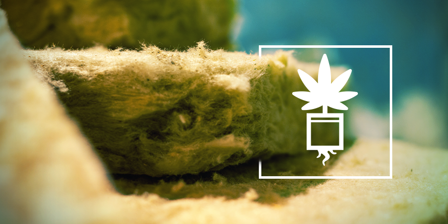 Cannabisanbau In Steinwolle Cannabisanbau In Steinwolle