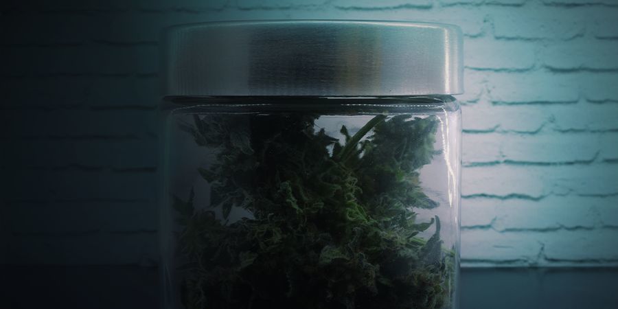 Tipps Fur Die Beste Aufbewahrung Von Cannabis Wie Baut Man Gras An