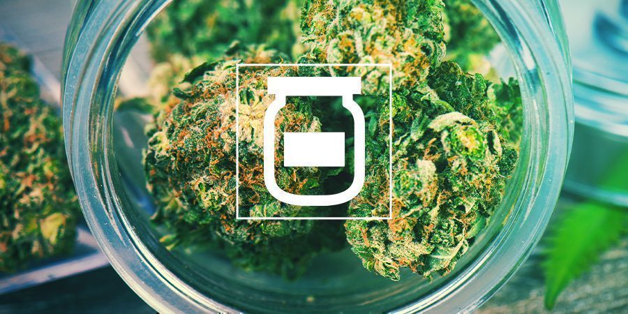 Tipps Fur Die Beste Aufbewahrung Von Cannabis Wie Baut Man Gras An