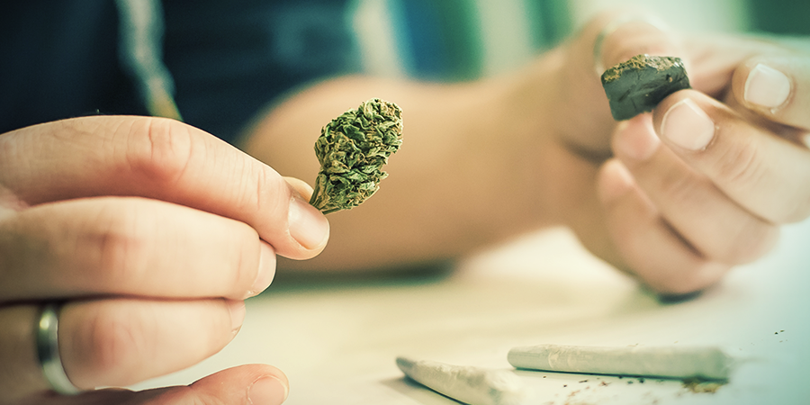 Sammle Trichomen Für Skuff-hash Sammle Trichomen Für Skuff-hash