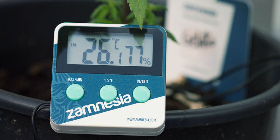 Wie Man Cannabispflanzen Gießt: Relative Luftfeuchtigkeit
