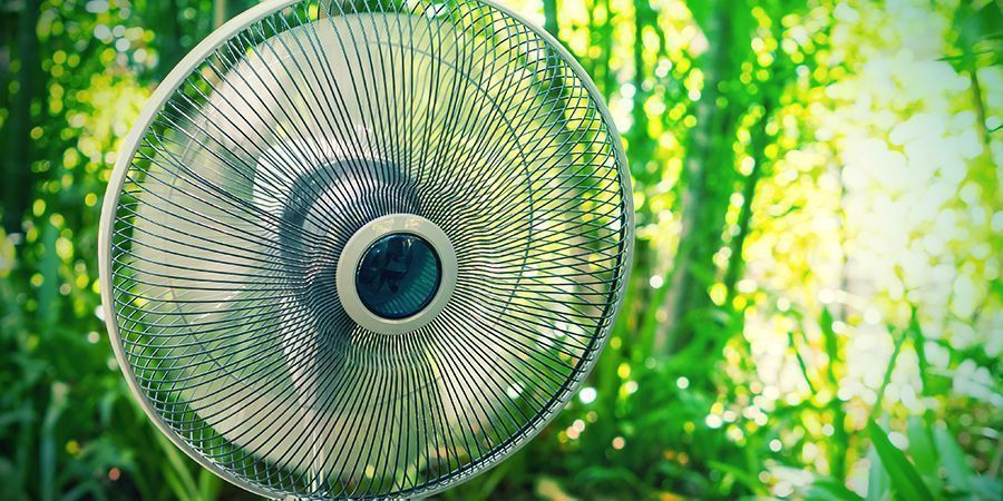 Billigeren Ventilatoren Können Sich Nach Nur Zwei Oder Drei Ernten Festsetzen (#11)
