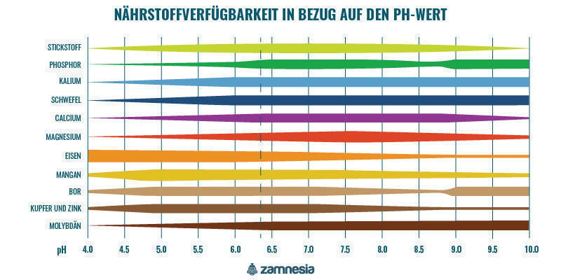 Nährstoffverfügbarkeit in Bezug auf den pH-Wert