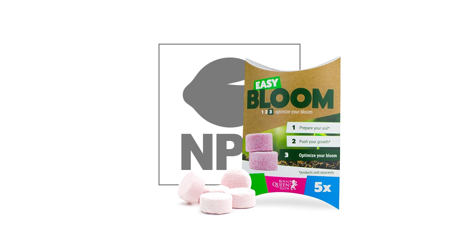 Easy Bloom Booster Blüte