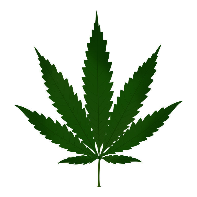 Stickstofftoxizität Bei Cannabispflanzen: Fortschreiten der Stickstofftoxizität