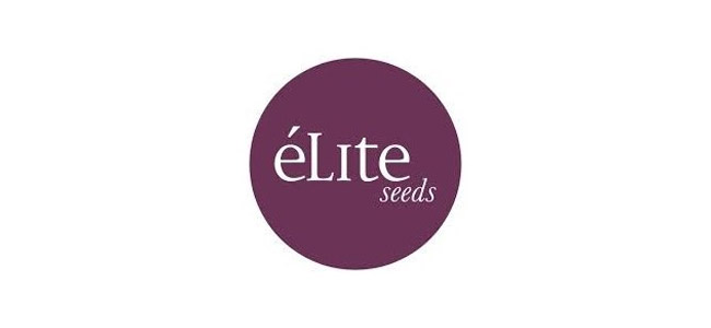 éLite Seeds Logo éLite Seeds Logo