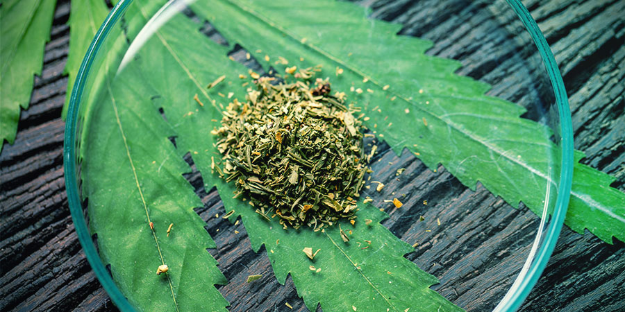VERSCHIEDENE KRATOM-SORTEN