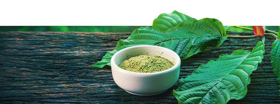Information Über Kratom Information Über Kratom