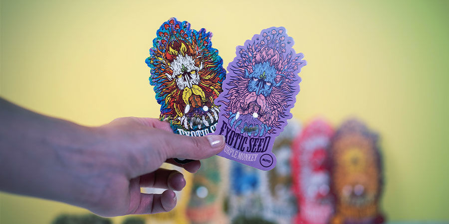 Exotic Seed: Sofort Erhältliche, Hochwertige Samen Exotic Seed: hochwertige Samen