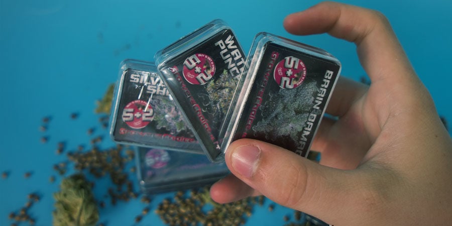 Growers Choice Deiner Wahl