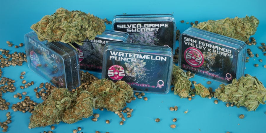 Wer sind Growers Choice?