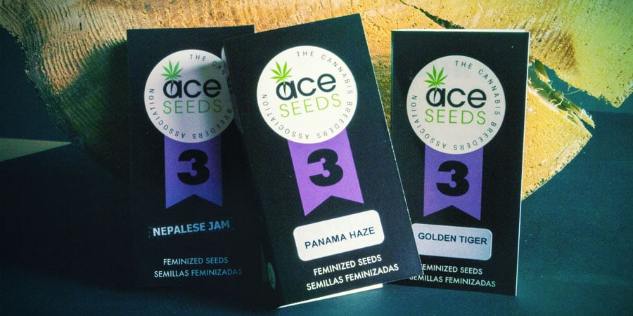 Verpackung Ace Seeds VERPACKUNG ACE Seeds
