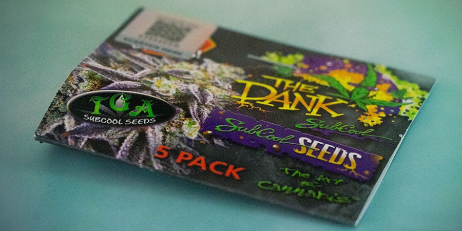Verpackung Von The Dank Seeds VERPACKUNG VON The Dank Seeds