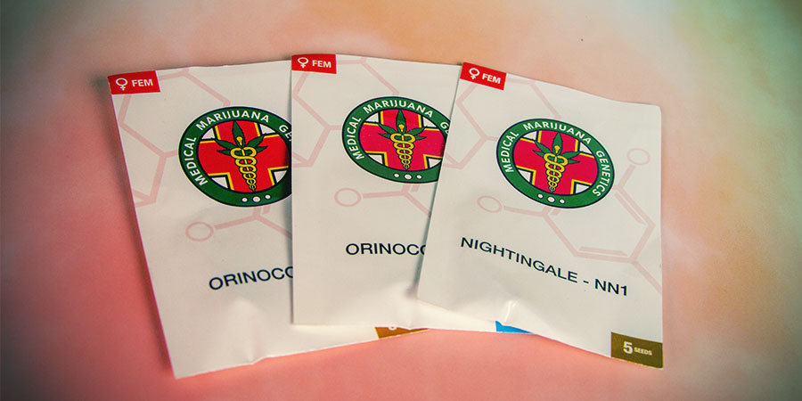 Verpackung Medical Marijuana Genetics Verpackung Medical Marijuana Genetics