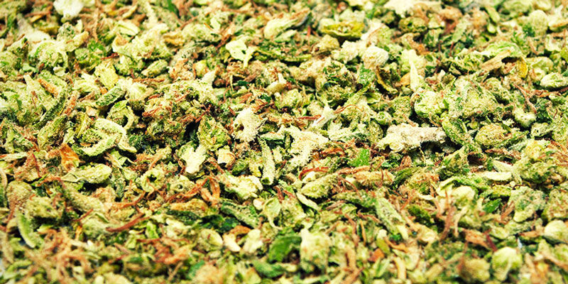 Welche Punkte es vorm Kauf die E grinder zu beurteilen gibt