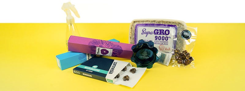 Alles, was Du für fette Psilocybin-Trips und Microdosing brauchst