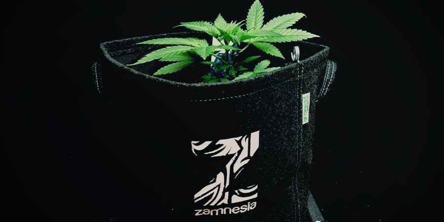 Stofftöpfe Aka Smart Pots Cannabis