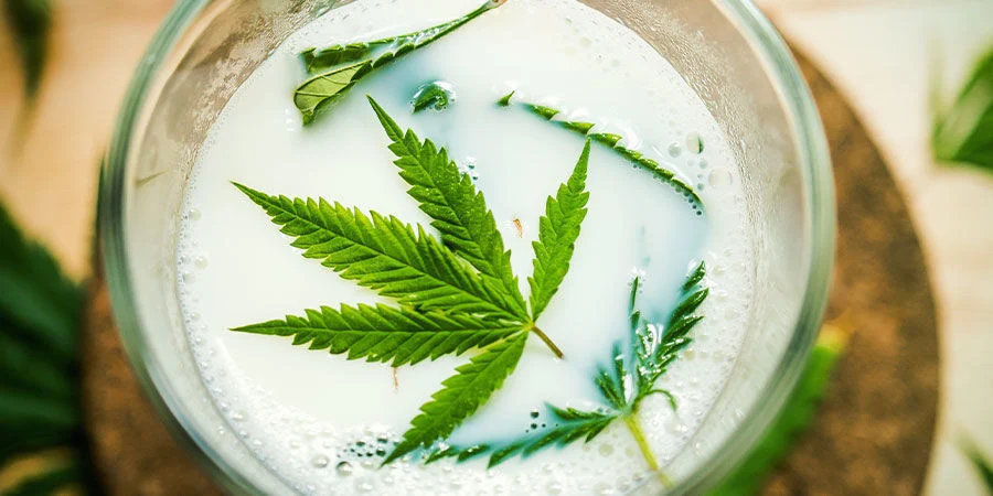 Cannabismilch