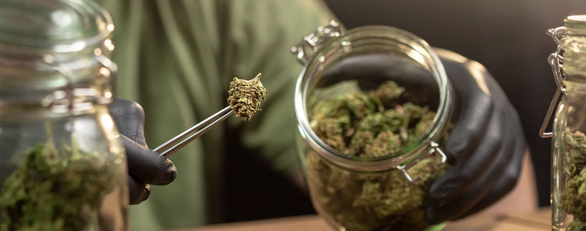 Anleitung: Cannabis richtig lagern