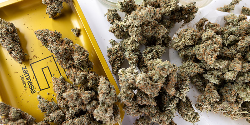Lass gutes Weed nicht schlecht werden