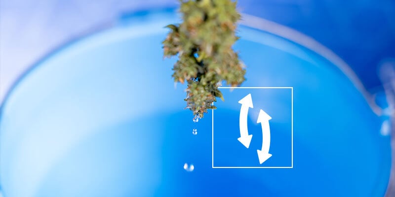 Schritt 4: Überschüssiges Wasser abschütteln