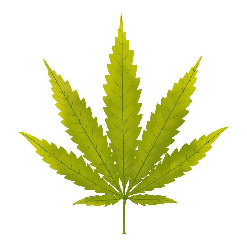 Magnesiummangel Bei Cannabispflanzen: Beginn des Magnesiummangels