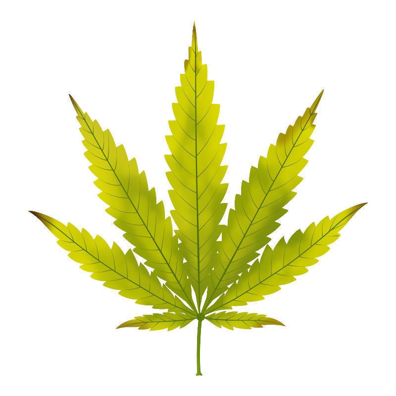 Magnesiummangel Bei Cannabispflanzen: Fortschreiten des Magnesiummangels