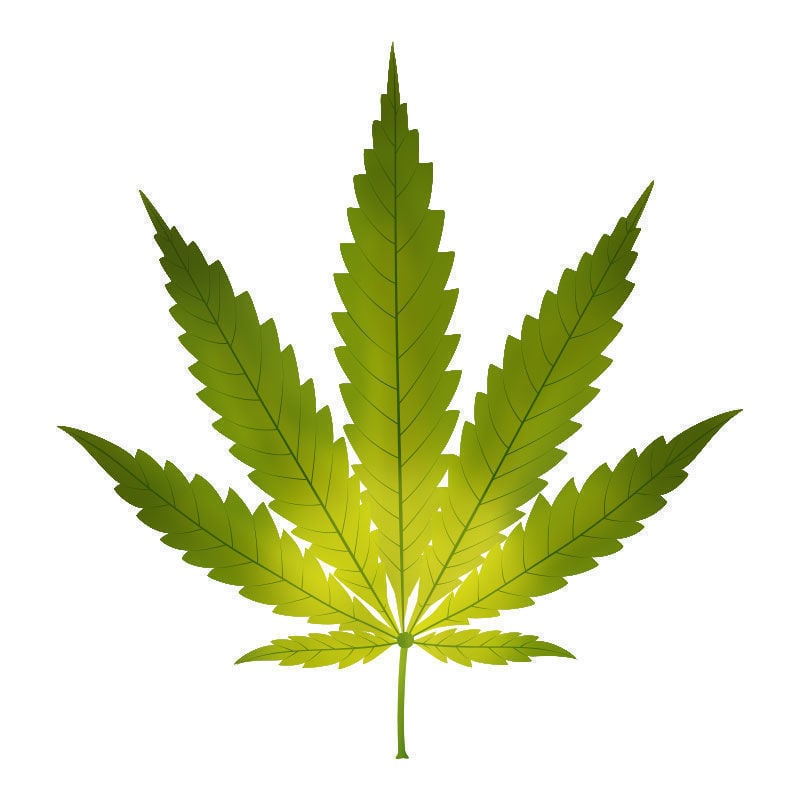 Eisenmangel Bei Cannabispflanzen: Beginn des Eisenmangels