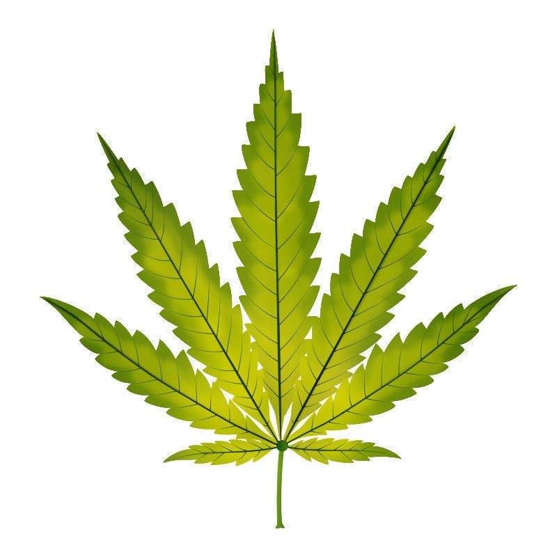 Eisenmangel Bei Cannabispflanzen: Fortschreiten des Eisenmangels