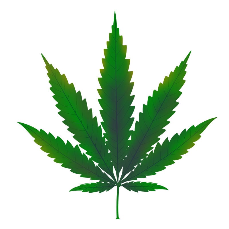 Kupfermangel Bei Cannabispflanzen: Beginn des Kupfermangels