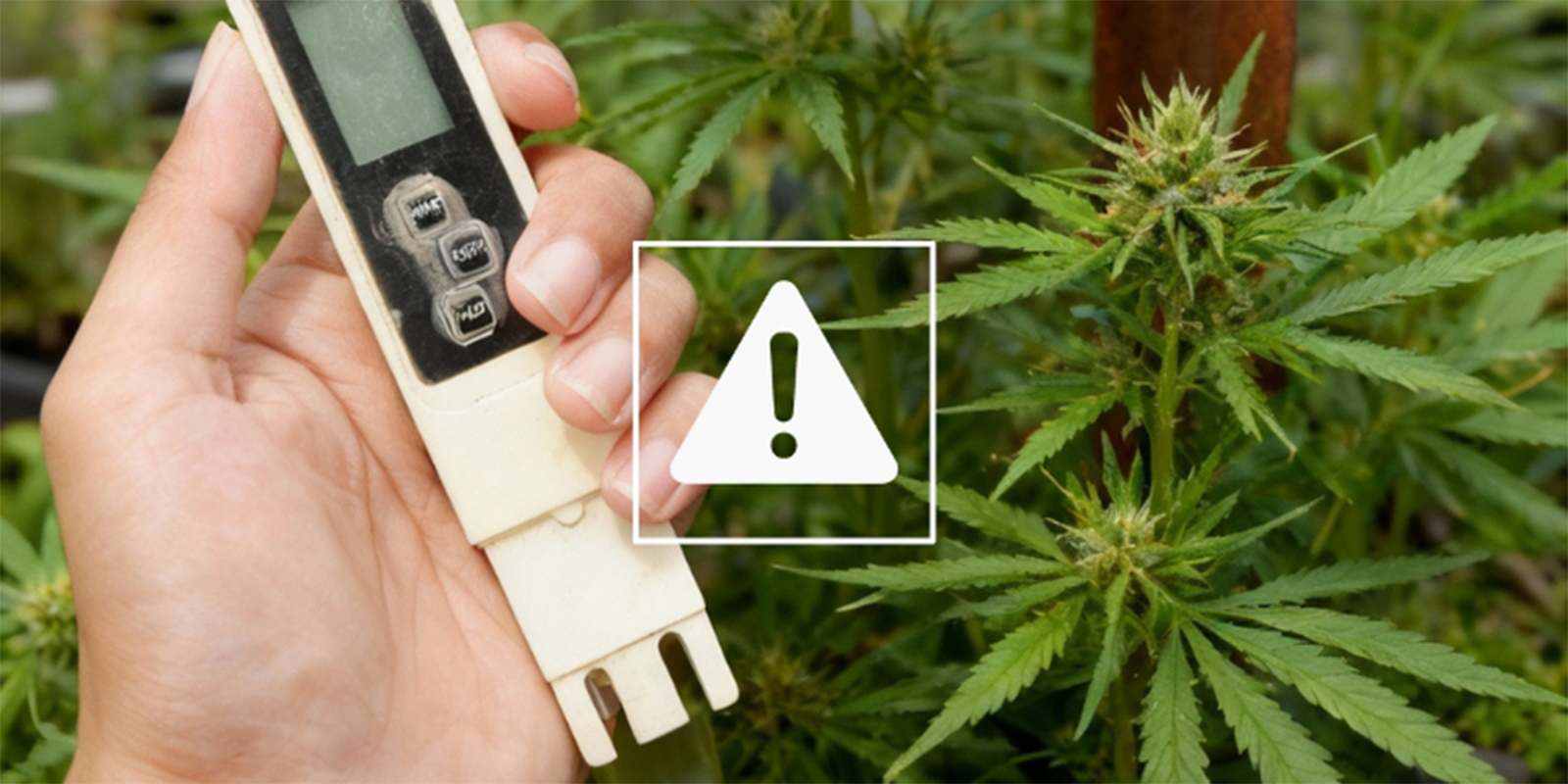 Typische EC-Probleme und wie du sie behebst