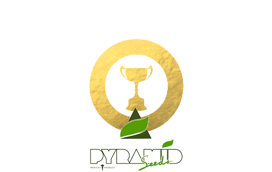 Auszeichnungen Pyramid Seeds Auszeichnungen Pyramid Seeds