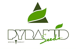 Pyramid Seeds Logo Pyramid Seeds Logo