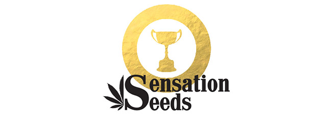 Gewonnene Preise Sensation Seeds Gewonnene Preise Sensation Seeds