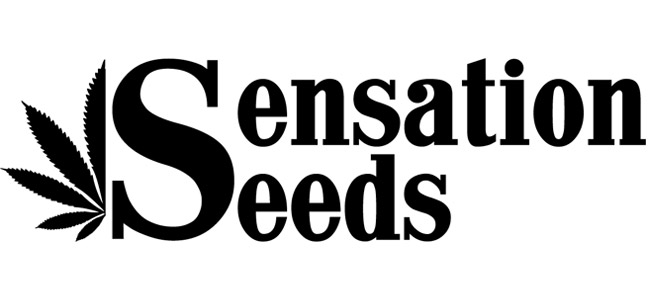Logo Sensation Seeds Logo Sensation Seeds