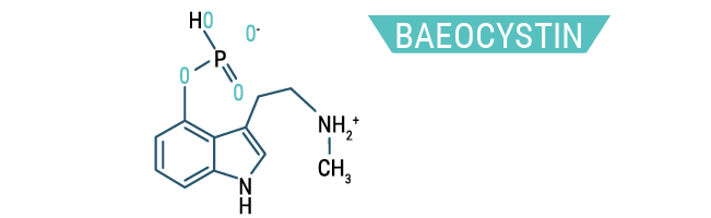 Baeocystin Baeocystin