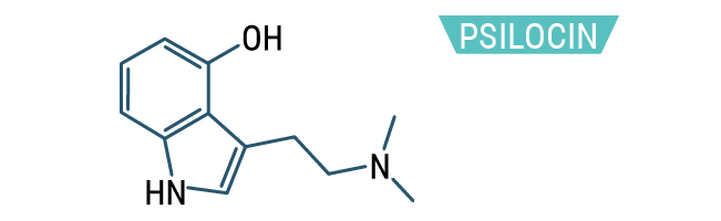 Psilocin Psilocin