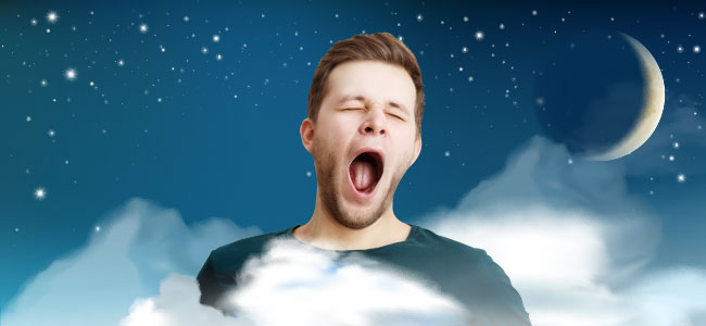 Was Sind Traumkräuter? WAS SIND TRAUMKRÄUTER?