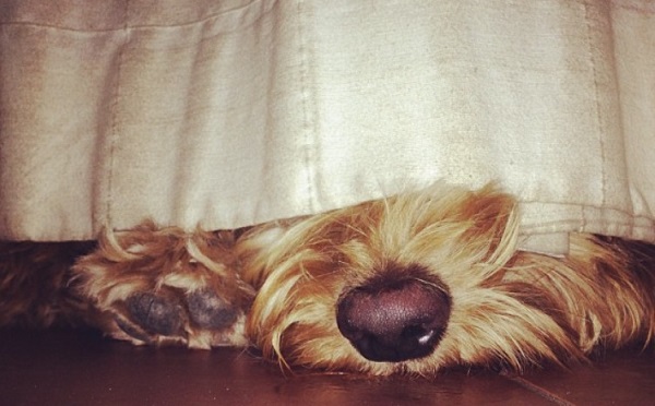 Sherry Hund Sherry Hund