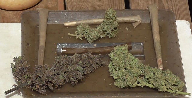 Top Shelf Grower Top Shelf Grower