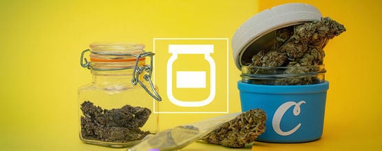 Die Besten Optionen, Cannabis Zu Lagern Und Frisch Zu Halten